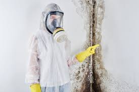 Mold Removal for HVAC Installations in Ocean Park, WA